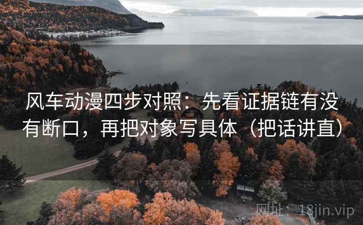 风车动漫四步对照：先看证据链有没有断口，再把对象写具体（把话讲直）